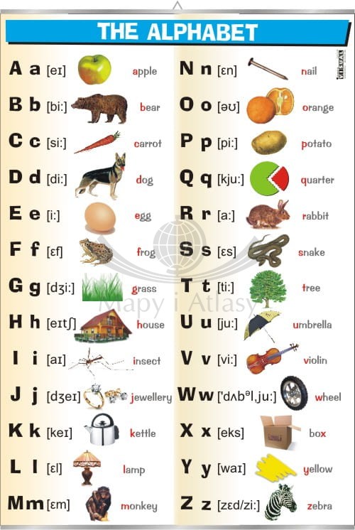The alphabet.jpg