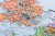 Europa 1:3 200 000. Mapa polityczno-drogowa w wersji magnetycznej wydawnictwa Maps International. Fragment 3