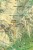 Tatry Polskie 3 w 1. Mapa turystyczna wydawnictwa WiT. Mapa 3 - fragment