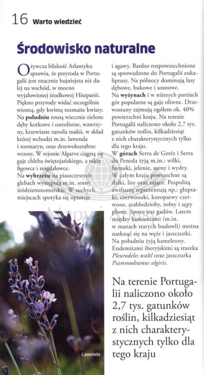 PortugaliaPrzewodnikLajtPascal_5.JPG