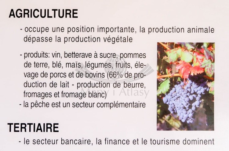 francja_dwustronna_podstawowe_fakty1_fragment_st a (3).jpg