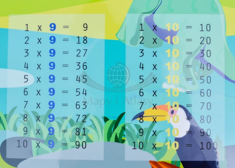 Prehistoryczna tabliczka mnożenia. Podkładka na biurko. Fragment 8