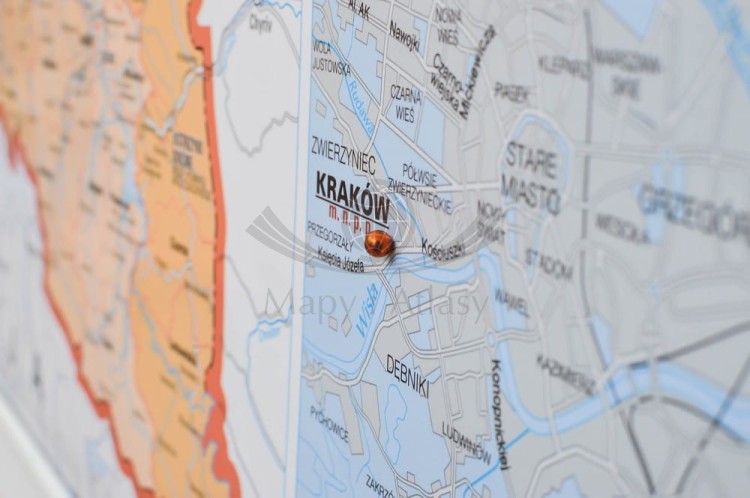 7823 Znaczniki magnetyczne pomarańczowe 54 sztuk (8) a.jpg