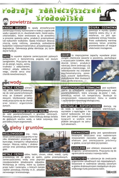 Rodzaje zanieczyszczeń środowiska.jpg