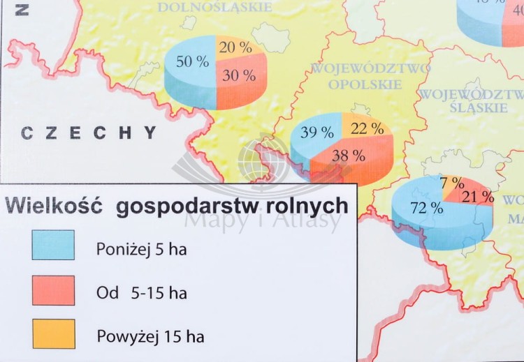 Polska 1:650 000. Rolnictwo w Polsce. Uprawy i struktura użytkowania ziemi. Mapa ścienna wydawnictwa Meridian. Fragment 5